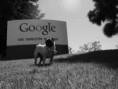 Google interrompe serviço de busca censurada na China